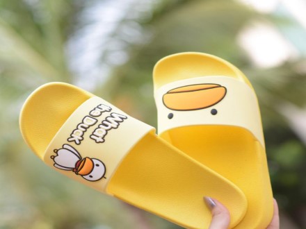 What The Duck Slides